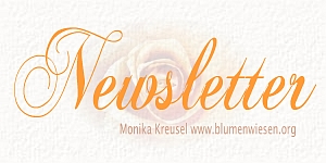 Abonniere unseren Newsletter