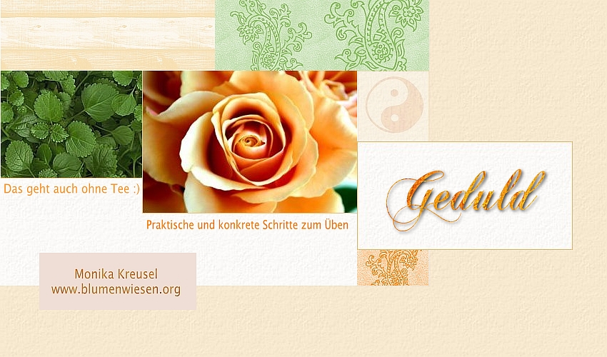 Geduld &uuml;ben in allt&auml;glichen Situationen www.blumenwiesen.org Monika Kreusel
